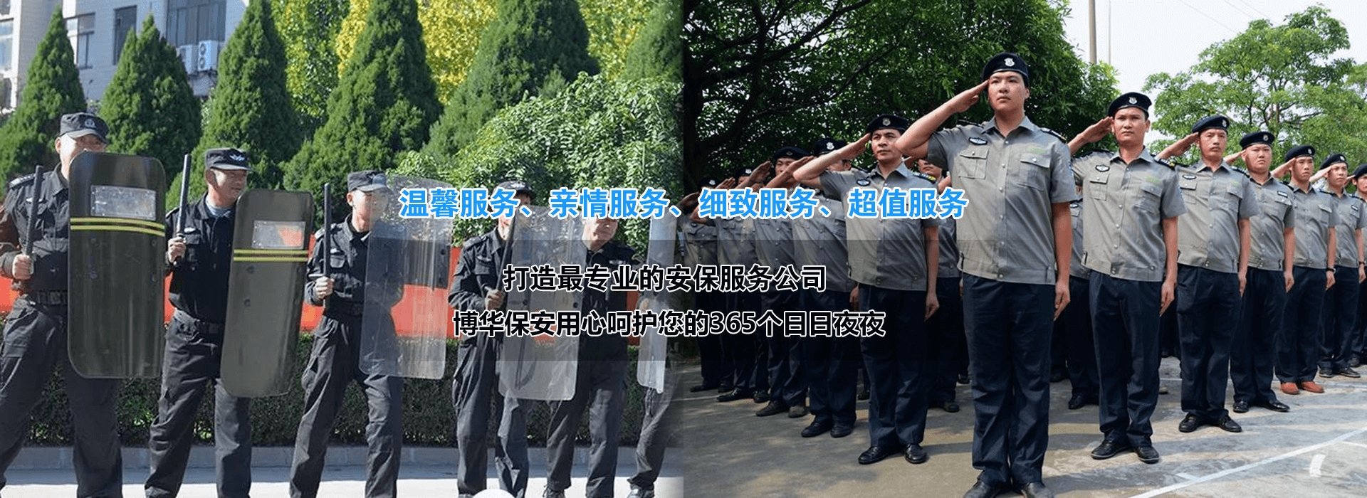 ���ݲ��A�����������޹�˾